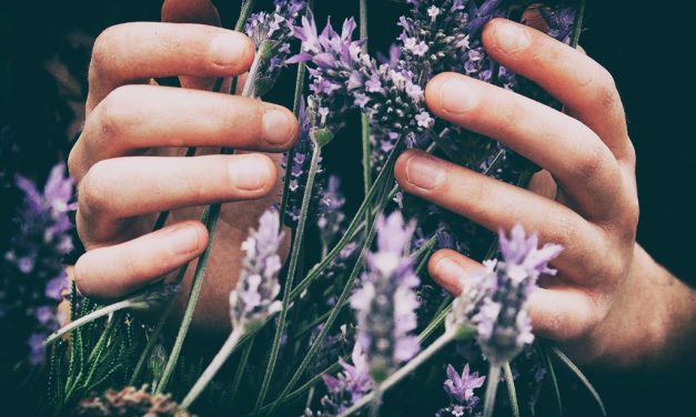 Naturopathie : une définition générale