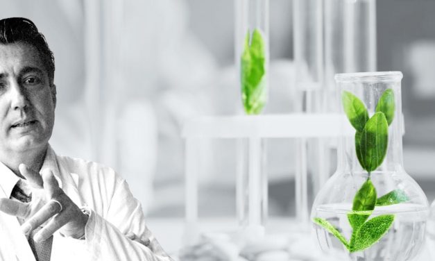 Un autre regard sur le cancer : Mirko Beljanski et le pouvoir des plantes