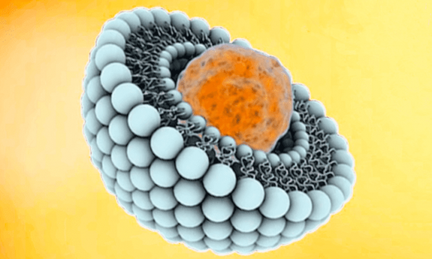 La vitamine C liposomale