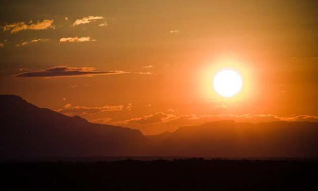 Vitamine D : 13 raisons d’en prendre