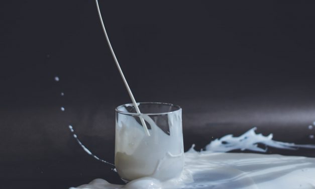 Le lait : bon ou mauvais pour notre santé ?